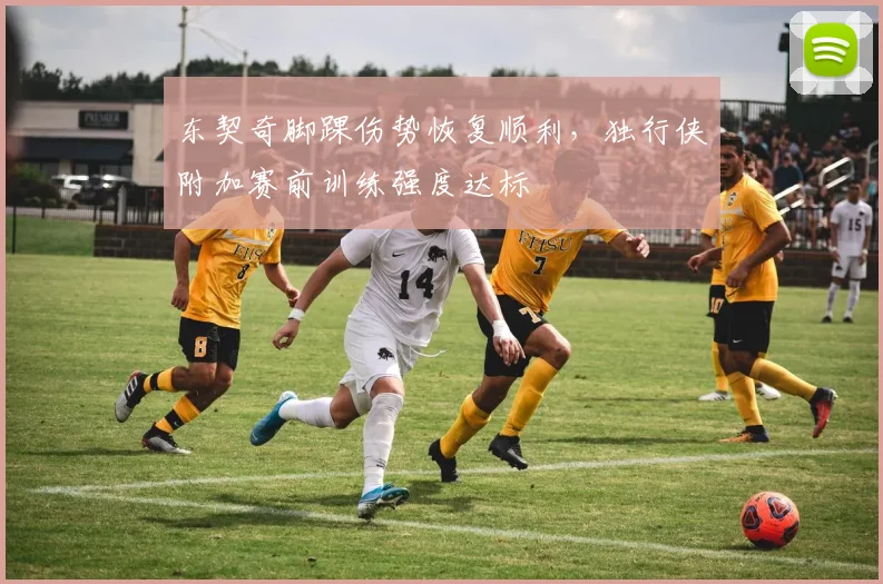 东契奇脚踝伤势恢复顺利，独行侠附加赛前训练强度达标