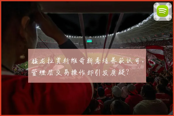 猛龙拉贾科维奇新秀培养获认可，管理层交易操作却引发质疑？